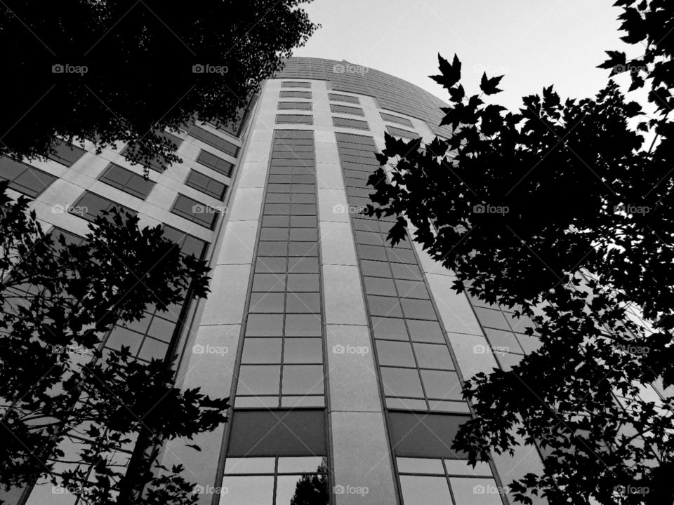 architecture/ black and white. in downtown Sacramento taking pictures