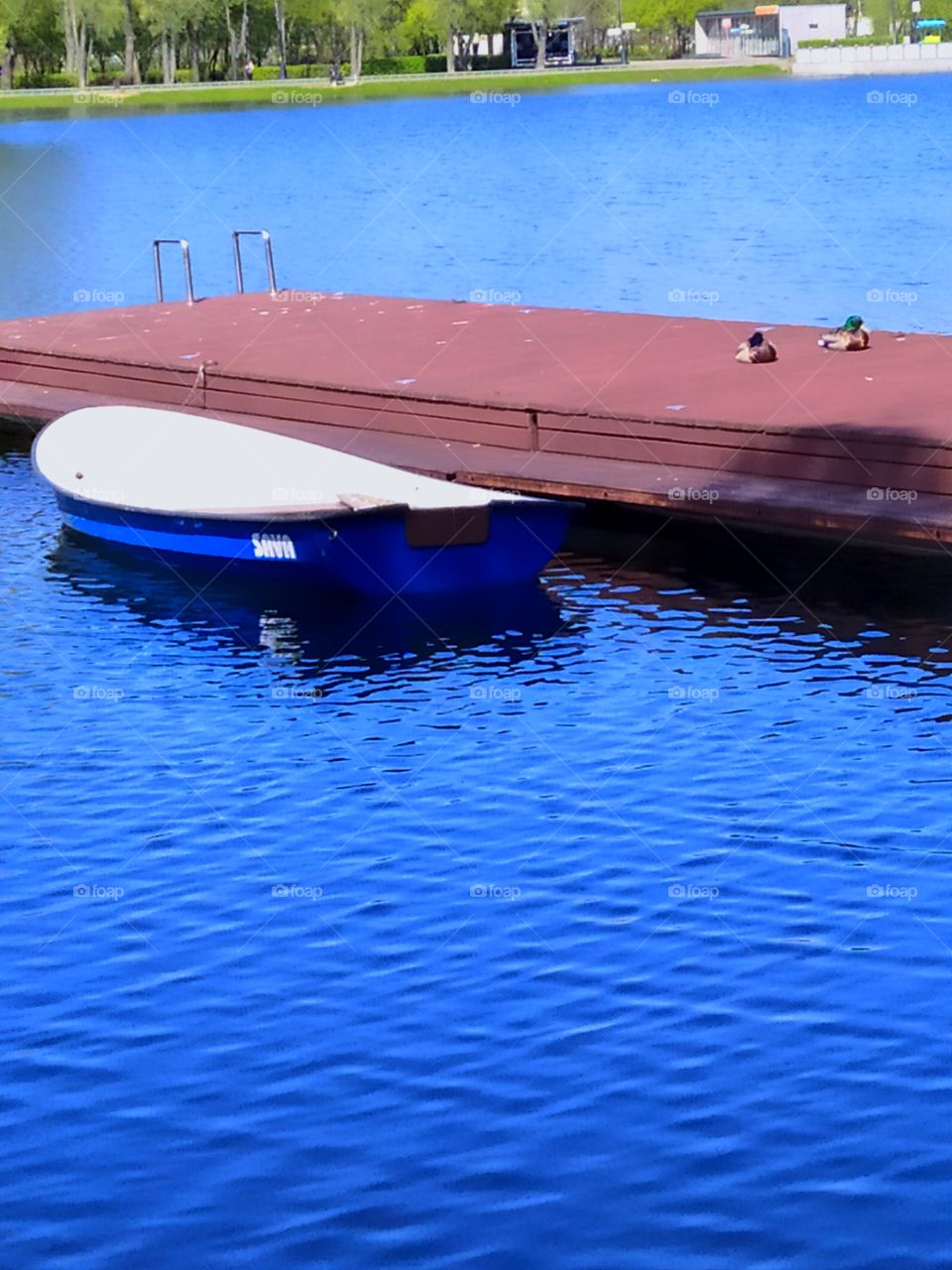 Wooden boat at the pier and two ducks resting on the pier