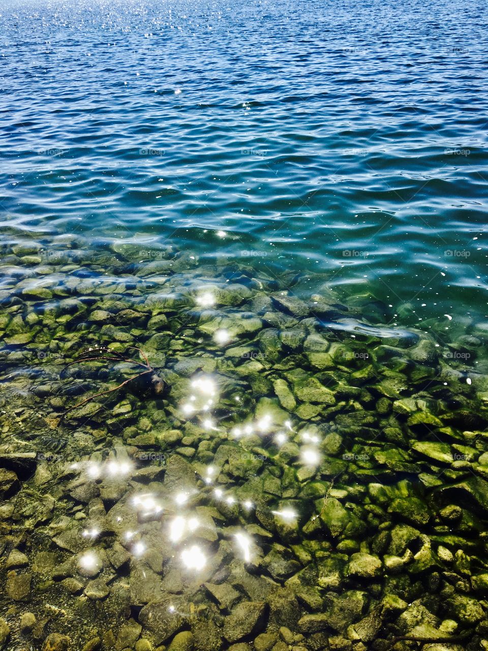 Sparkle in the water