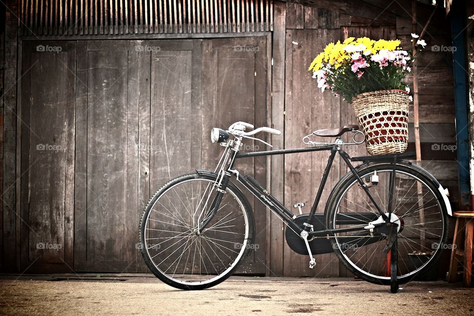 Flower on bicycle.. Yellow flower on bicycle.