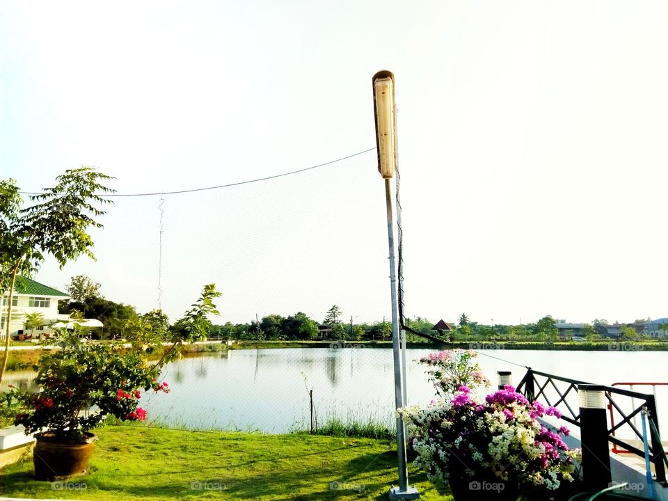 park,sky,water,flower