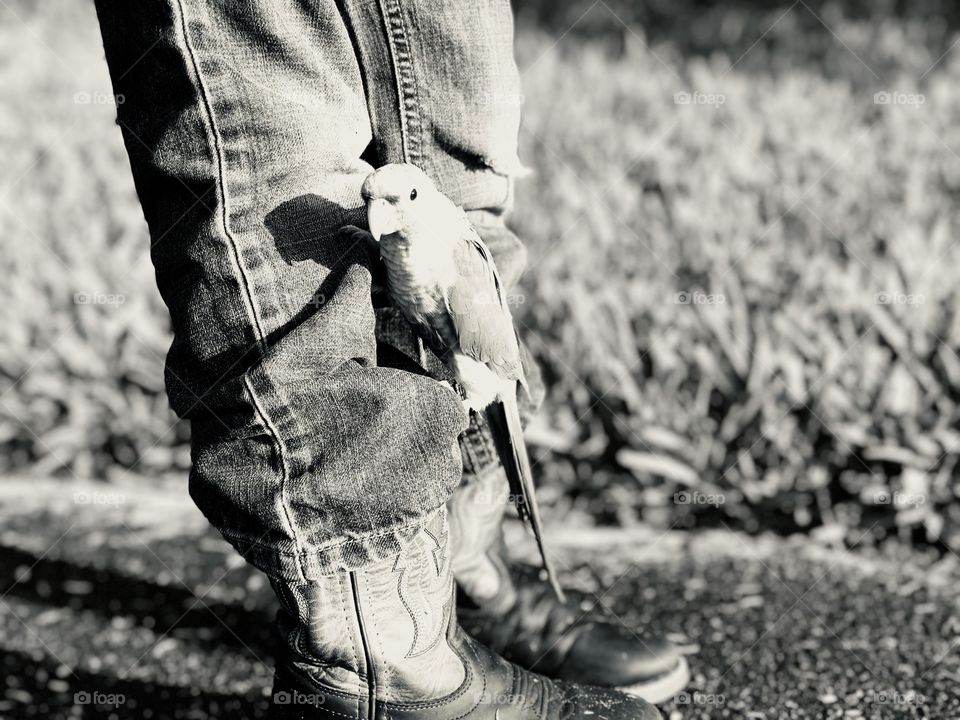 There’s a bird on my pants “get it off me!”