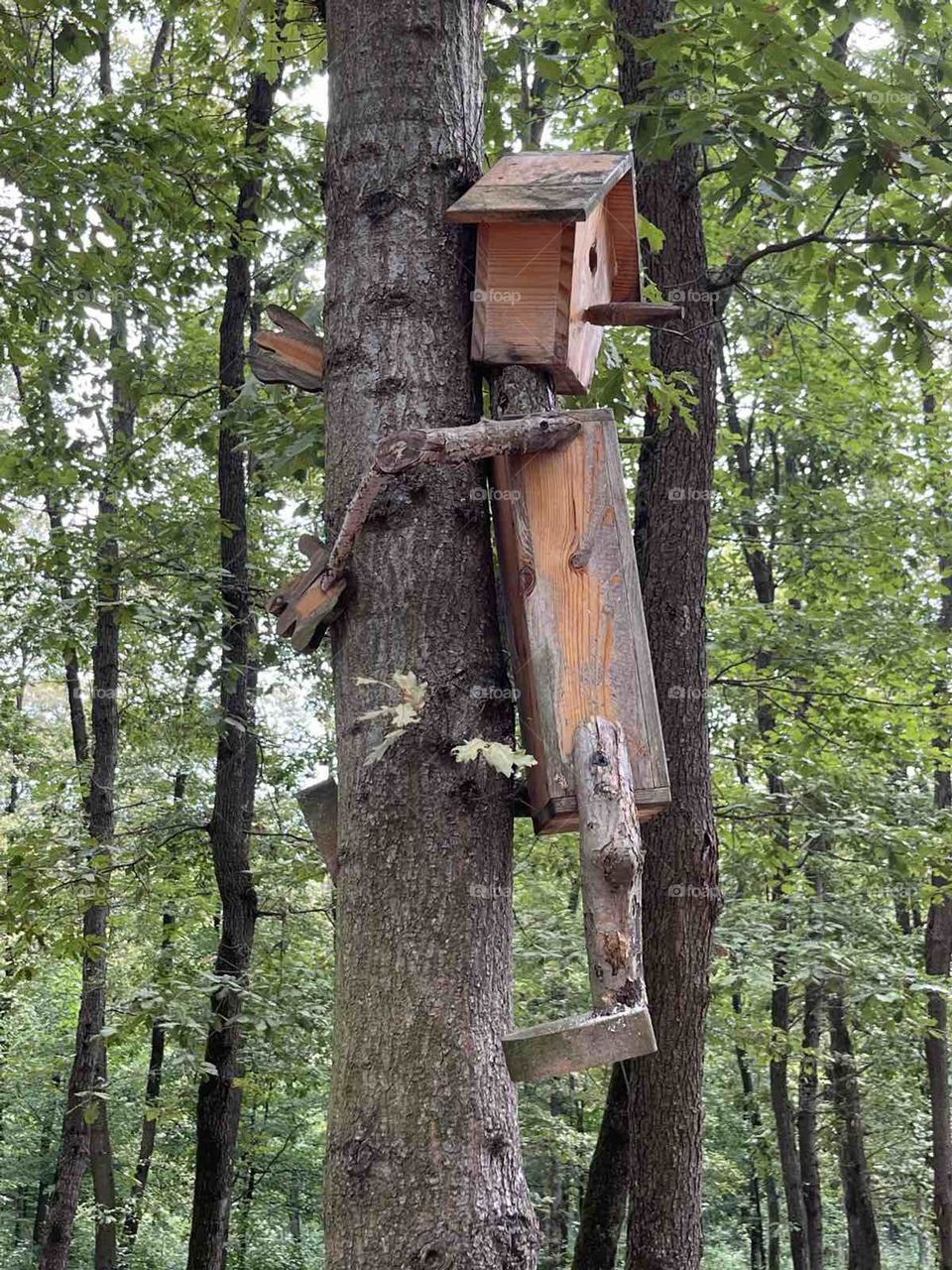 birdhouse