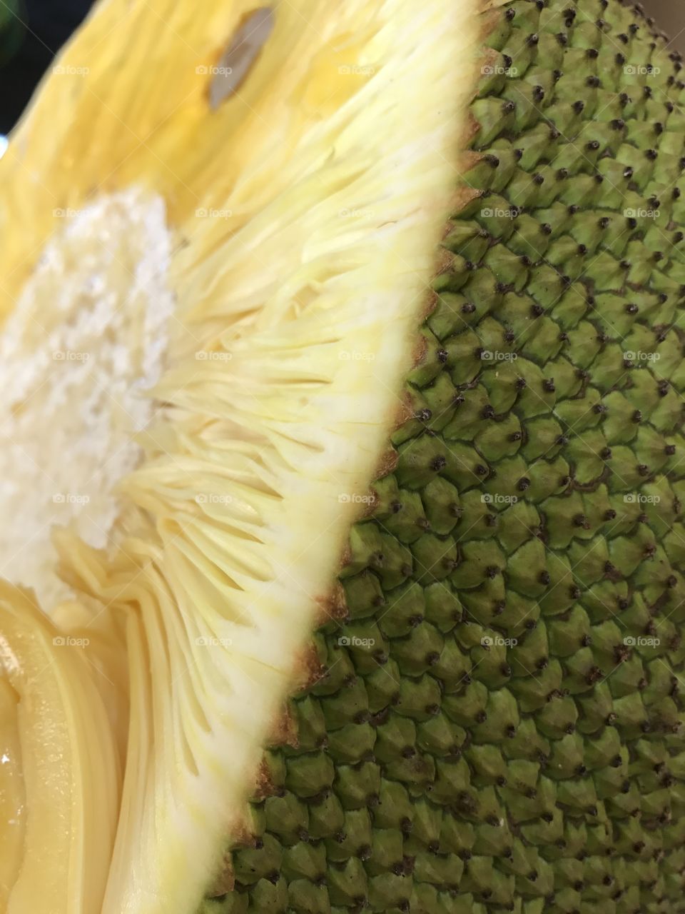 My favorite fruit- jackfruit 