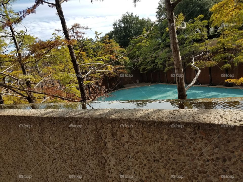 Water, Tree, Dug Out Pool, Wood, No Person
