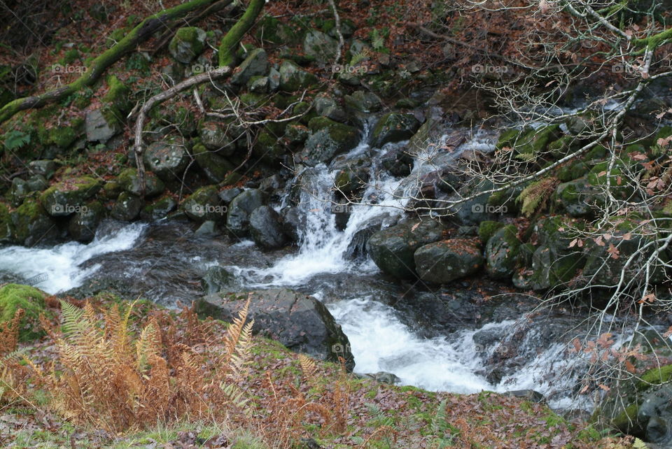 Lake District 