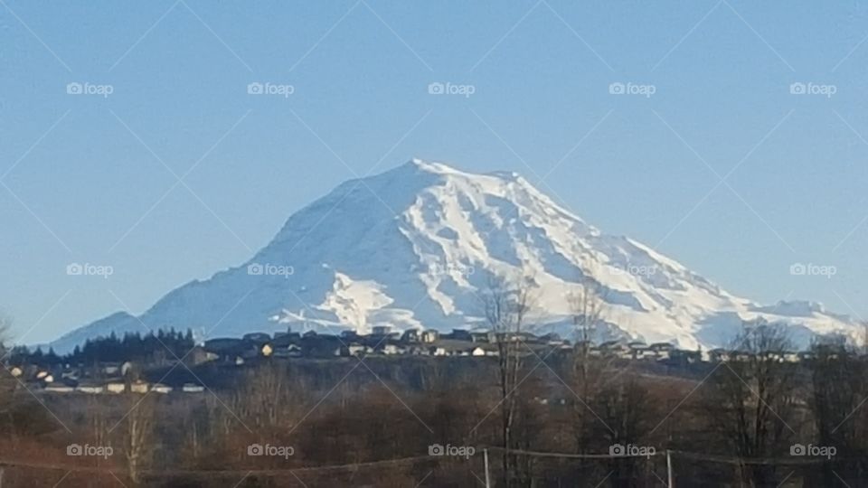 Rainier