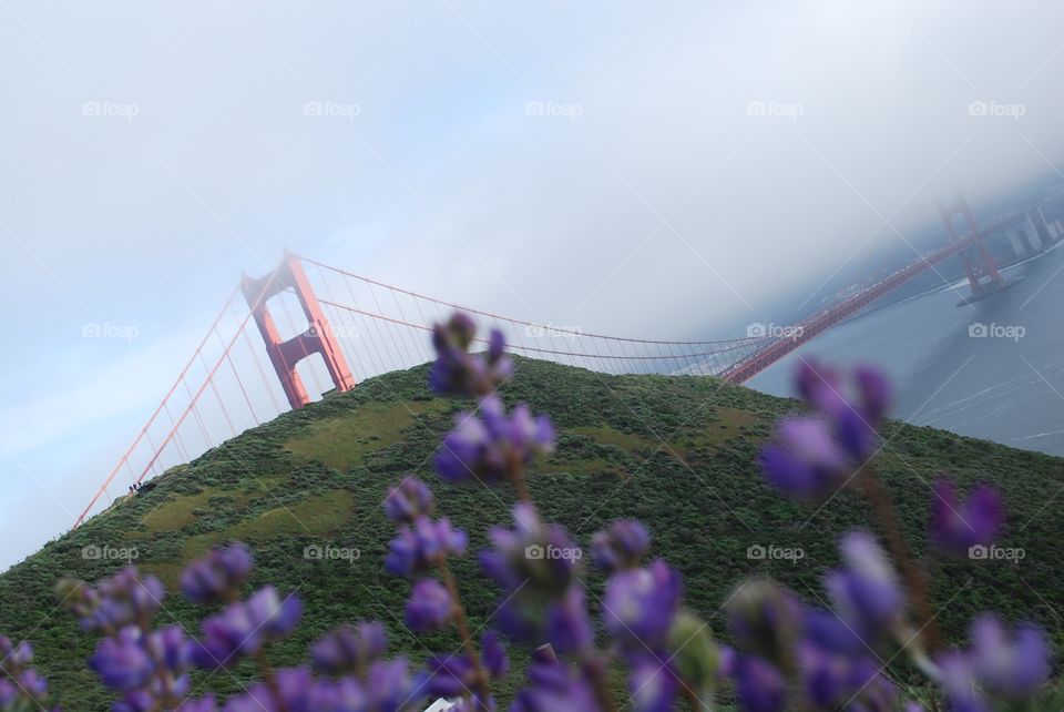 Golden Gate Bridge