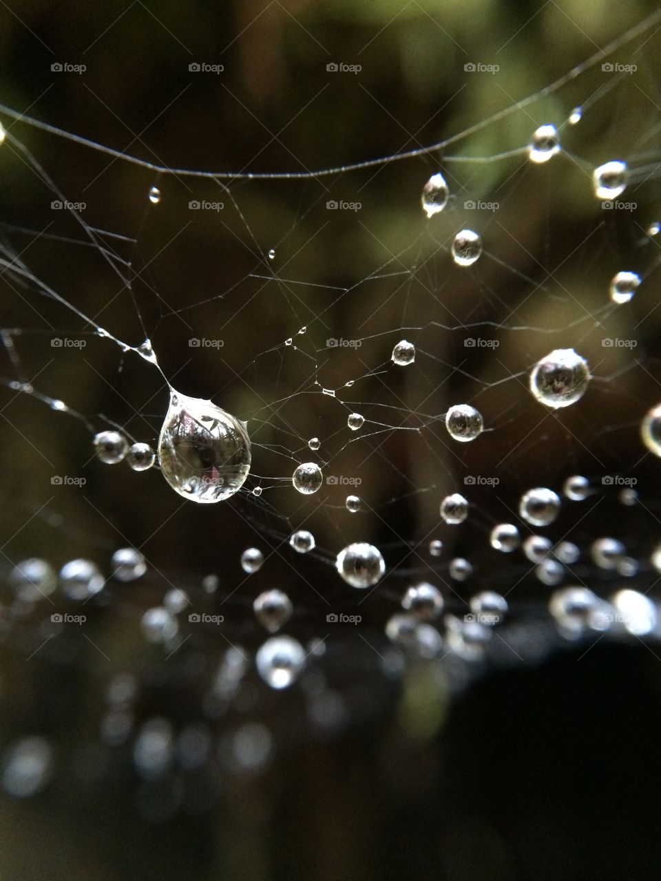 Macro shot of water droplets taken with an iPhone and olloclip macro lens 