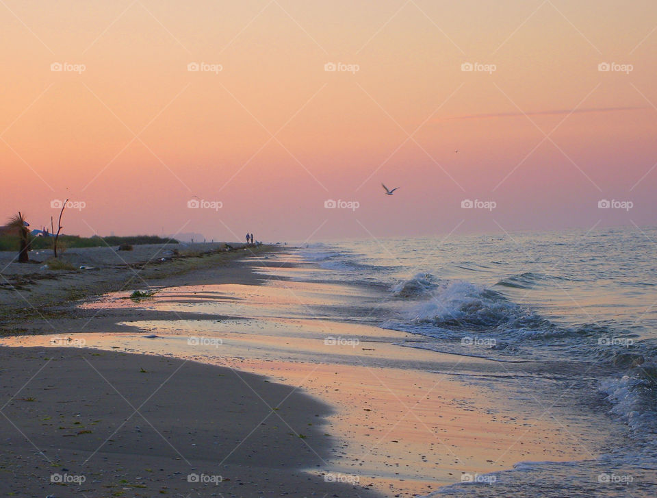 sunset and sunrise views. sea ​​shore. beach