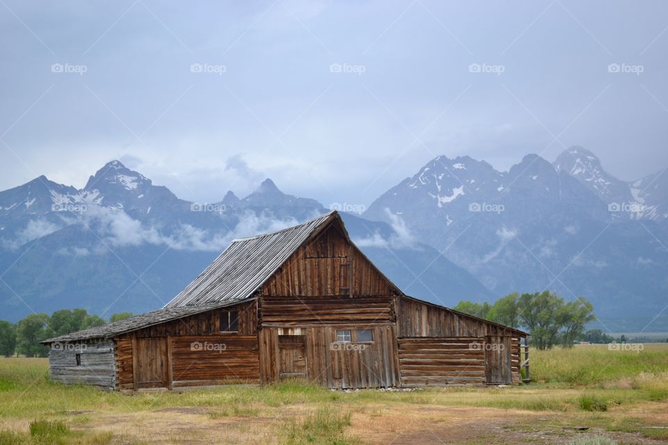 Antique Barn On Mormon Row