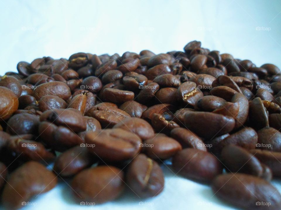 Coffee beans on white background