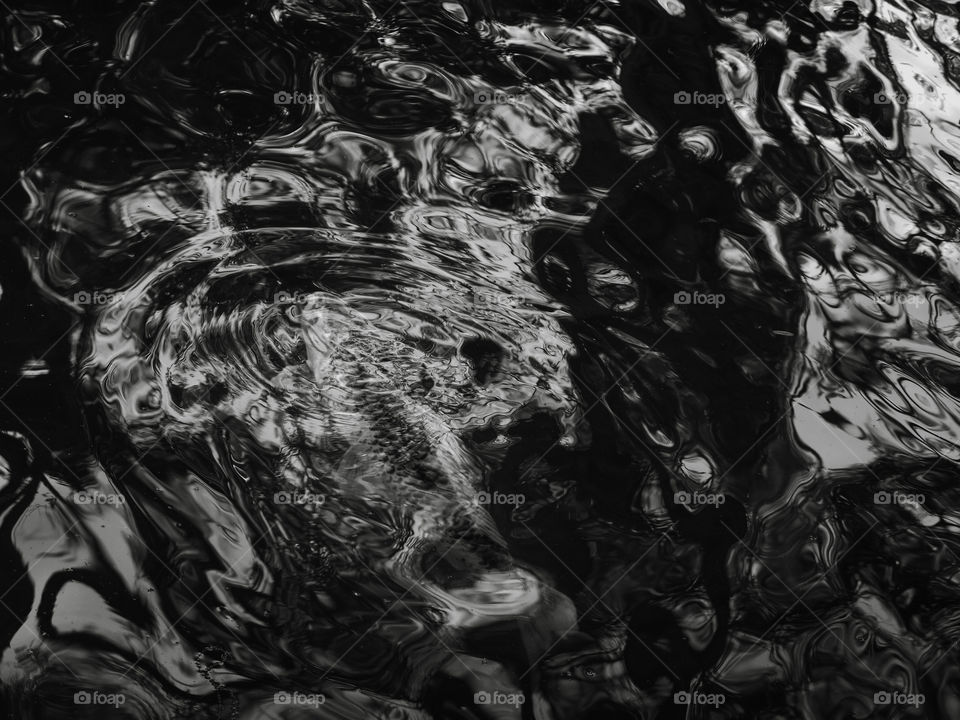 Fishes on a mountain lake, causing disturbances on the water surface. The black and white effect gave it a beautiful texture, almost abstract.