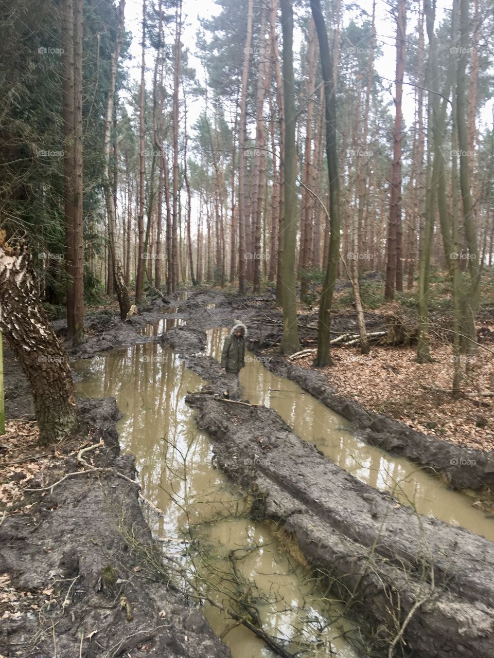 Wandering through the woods on a wet February day, Foxhills, Chertsey, Surrey, 2018