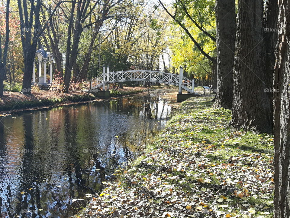 magic bridge in the fall!🍃🍂🍁❤💚💛