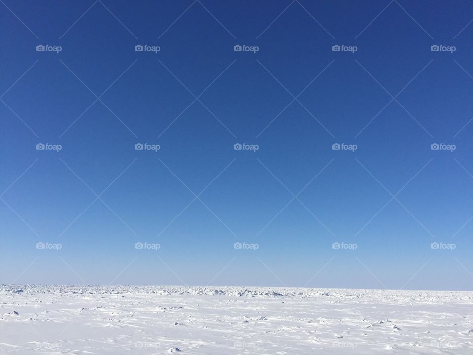 White Arctic Snow Landscape 