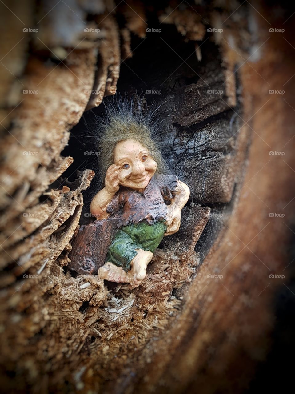 wood twarf living in a cave