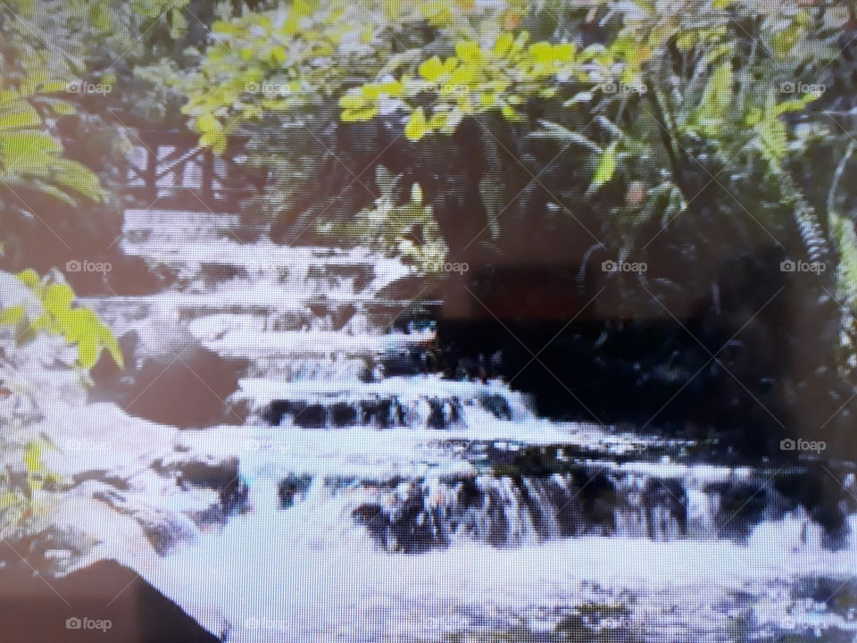 A beautiful landscape that deserves a postcard of flowing waters that joins nature with trees, forests and water.