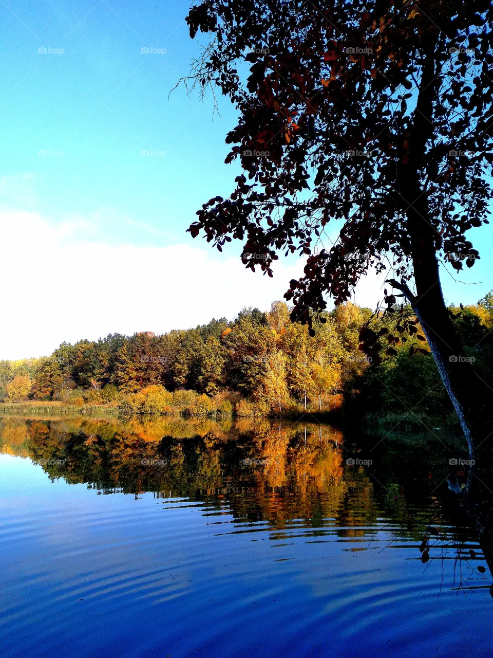 Lake