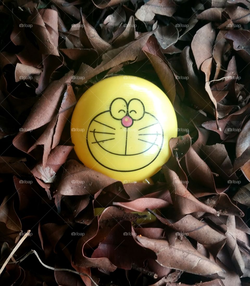 Doremon toy and dry leaves.