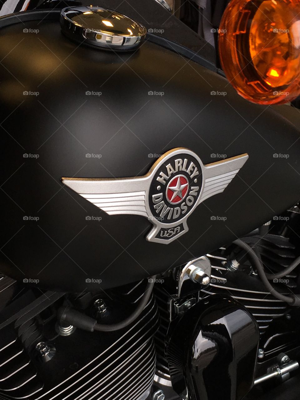 Harley-Davidson motorcycle 