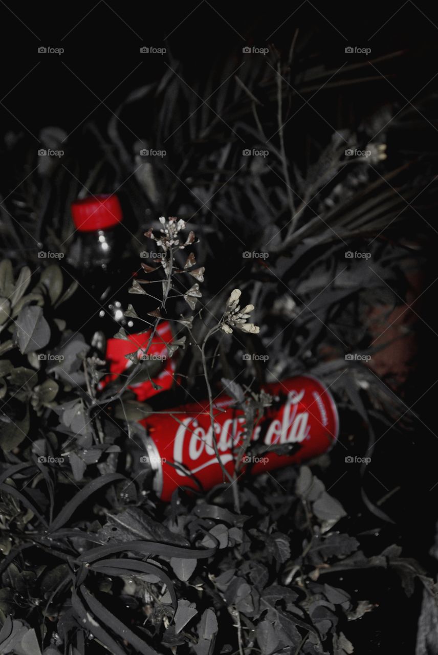 Coca-Cola Morocco
