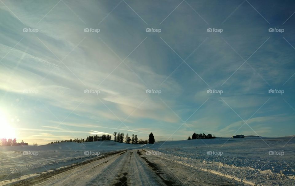 beautiful snowy road