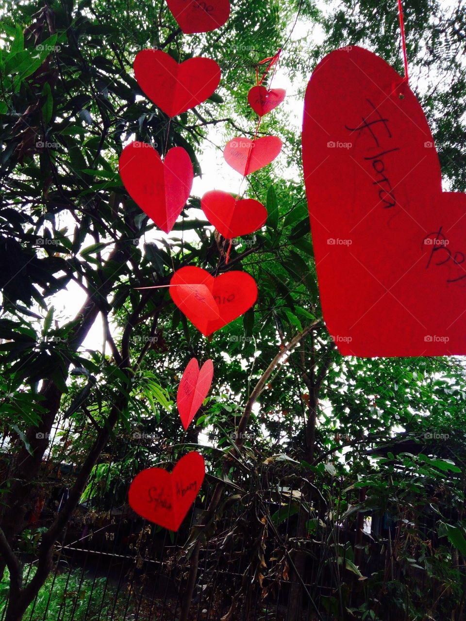 Love on the trees. 