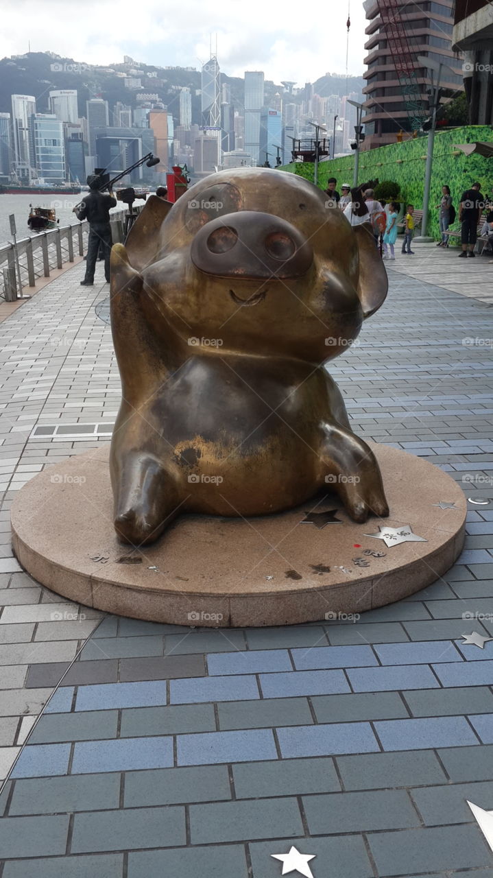 2019 is Pig year.. Wish that we have a blessed Pig year... Amen~