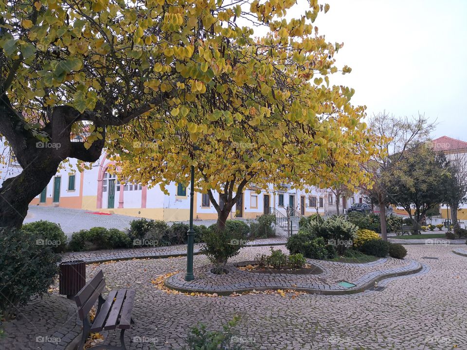 Garden, Nature, Povoa e Meadas, Portugal