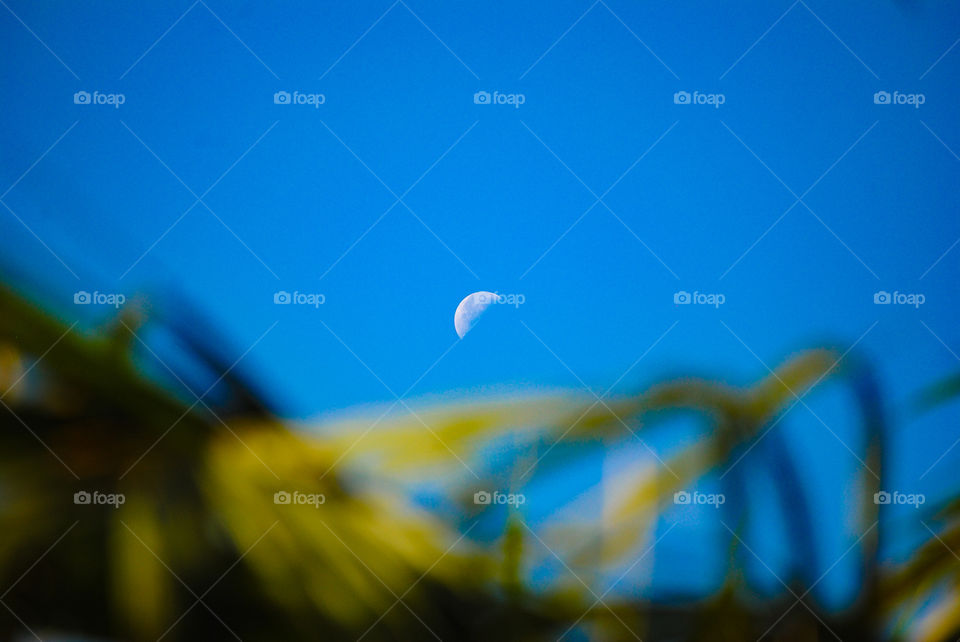 Half Moon in the morning