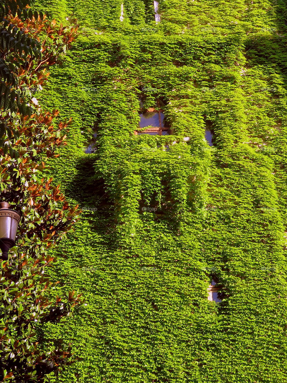 Urban green waterfall