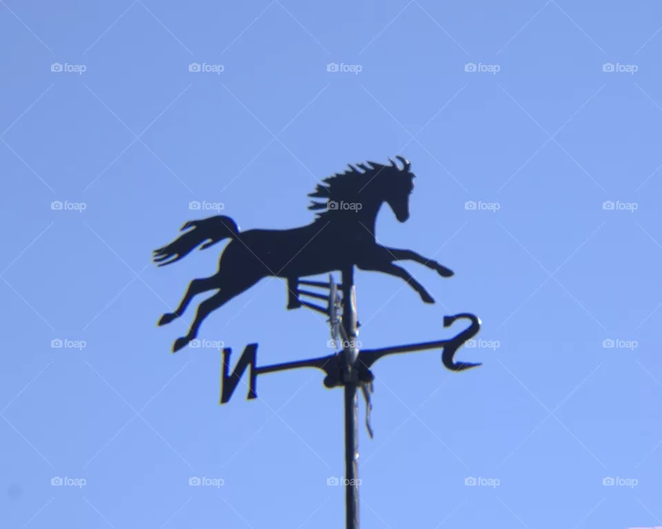 Black Horse Weathervane Against a Blue Sky