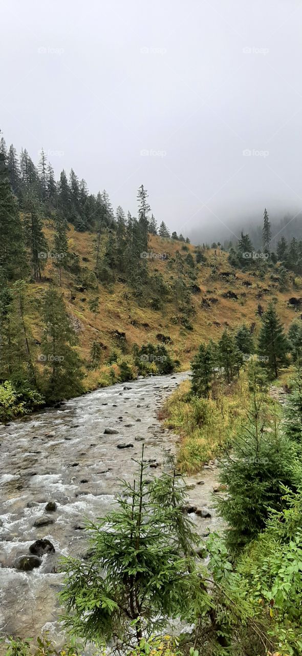 stream between mountains
