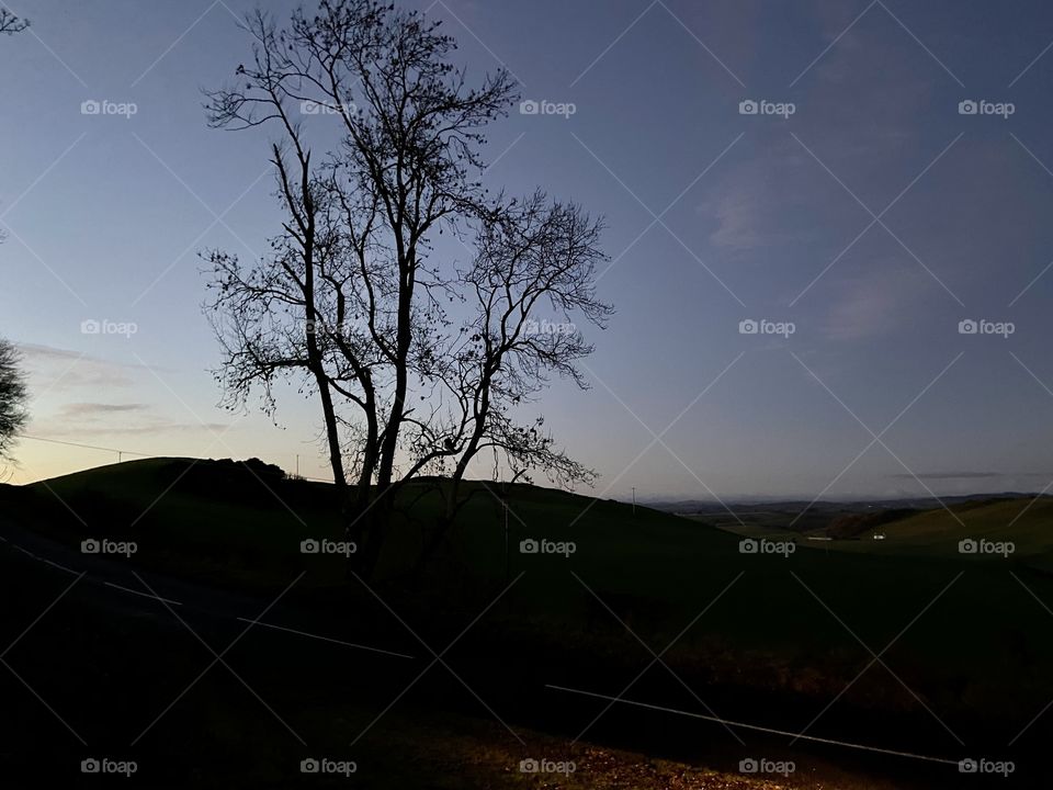 🏴󠁧󠁢󠁳󠁣󠁴󠁿