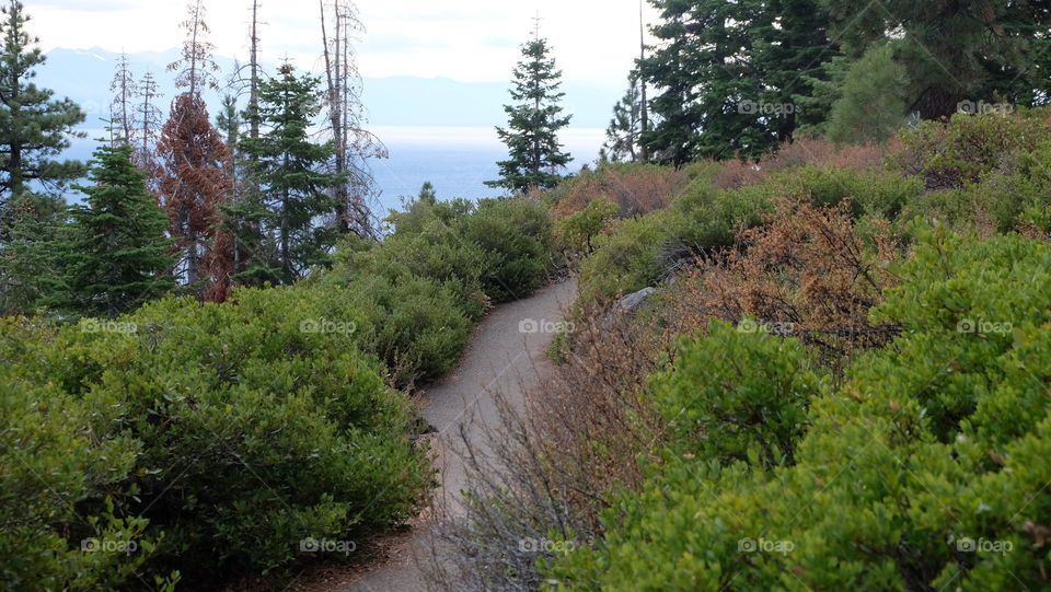 A paved trail