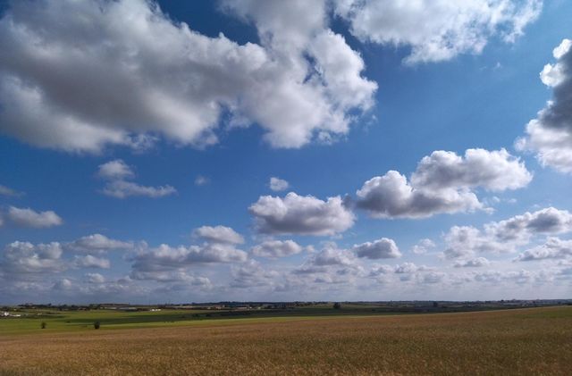 road of fields