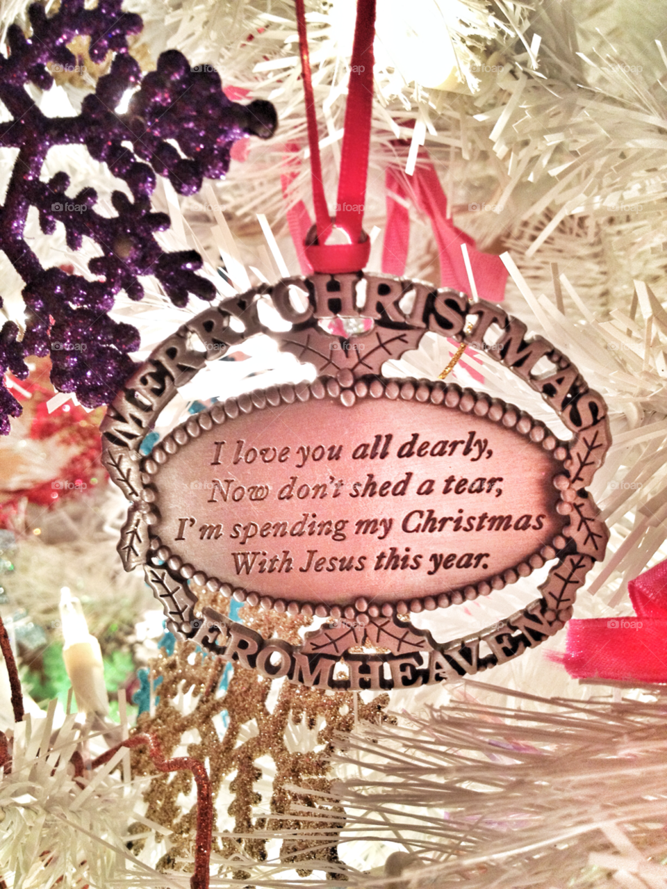 snow winter flowers light by somebeach