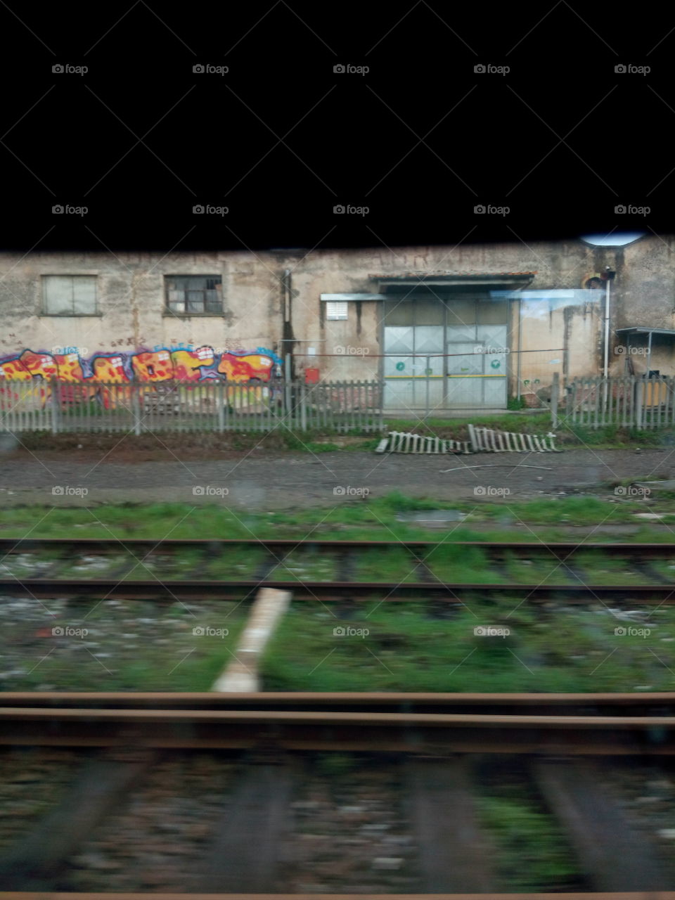 Landscape from a train window