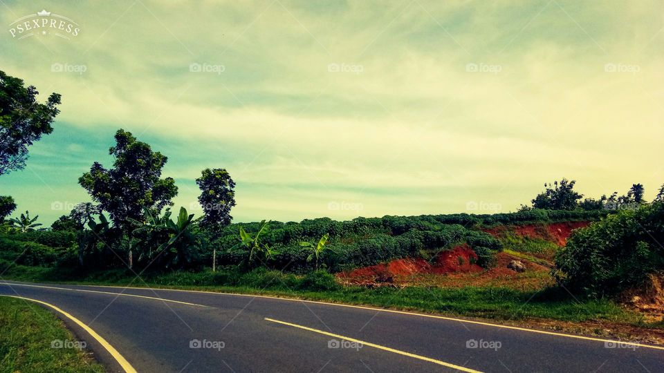nature photo design color full
nature photo design color full