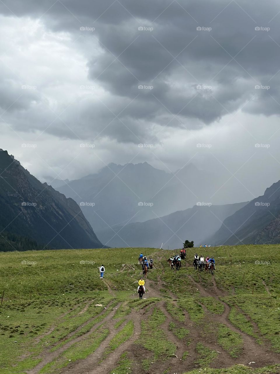 July 30, 2024 | Sciata