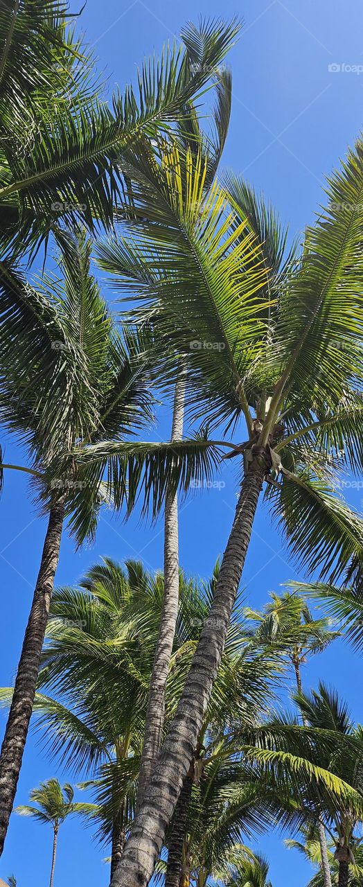 Looking up to see where the breeze takes me.