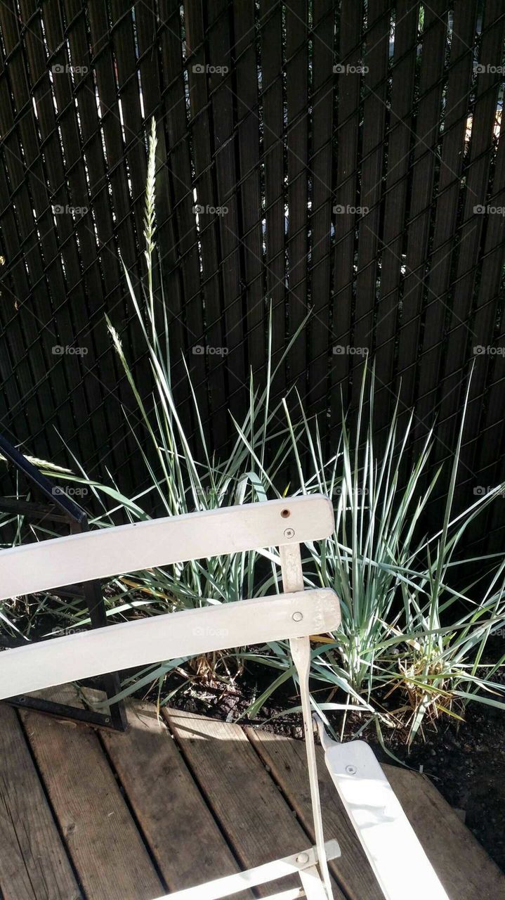 A garden chair on a terrace with tall grass in the sun