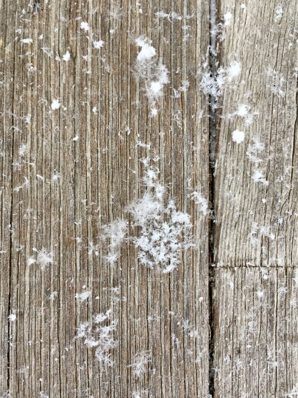 Overhead view of downy snowflakes on a weathered wooden surface