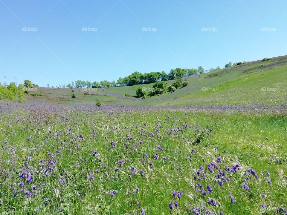 Picturesque landscape with hills