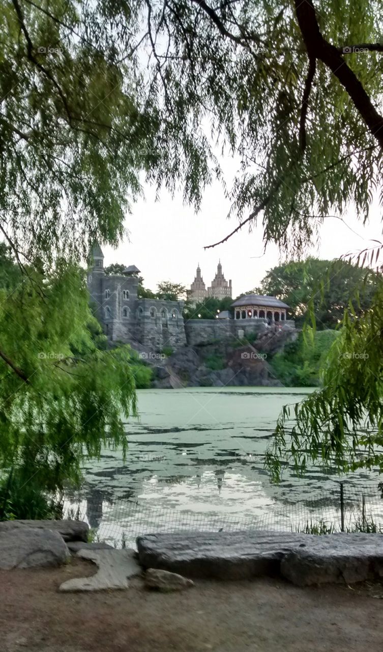 Central Park NYC