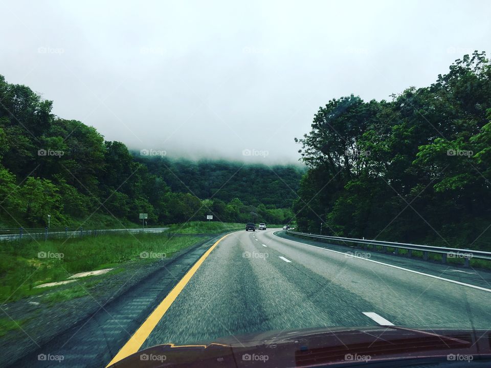Driving through the mist 