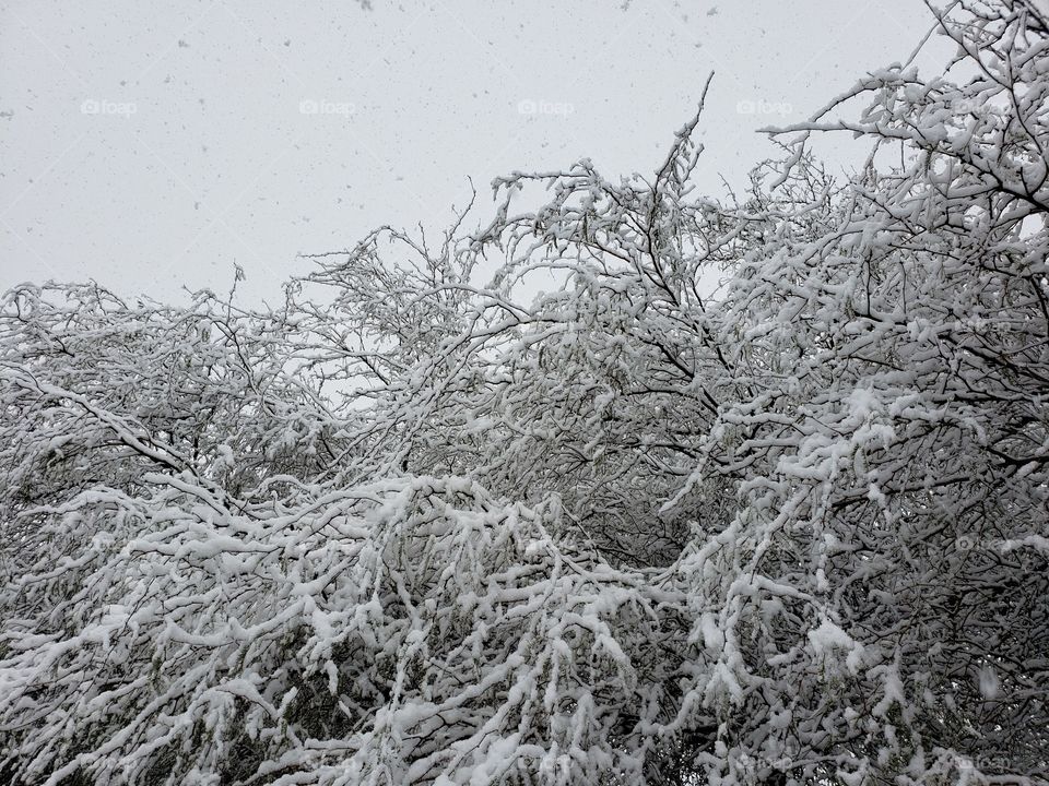so much snow for Tucson