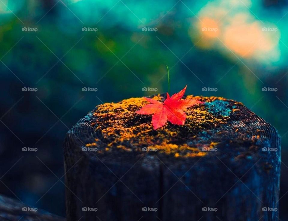 Интересное фото