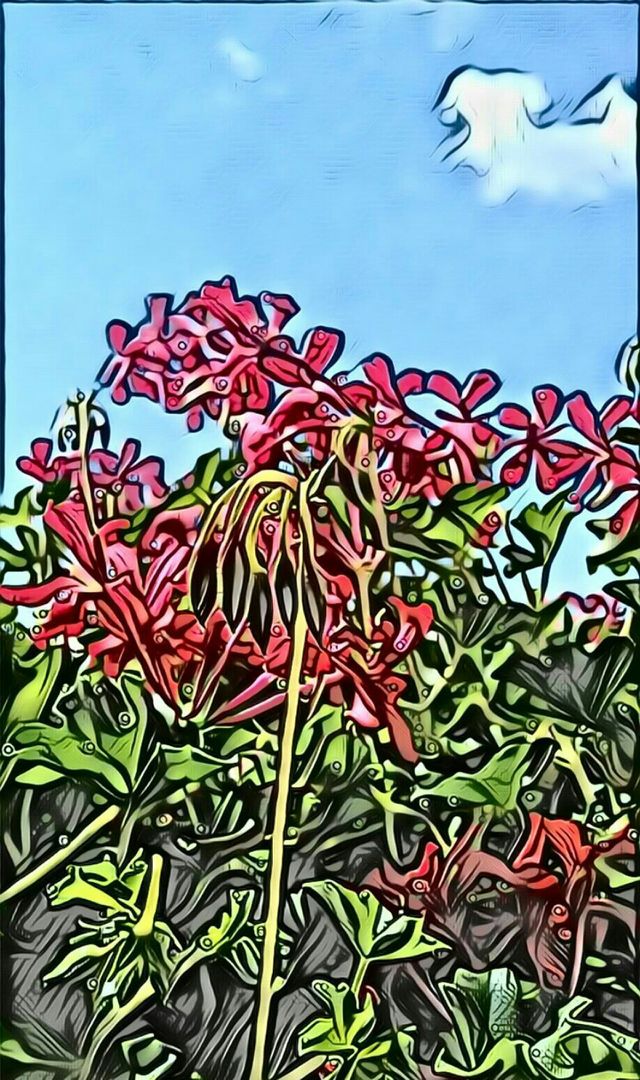 Flowers